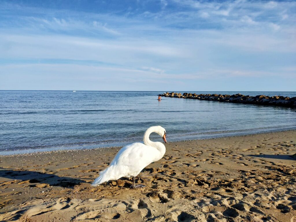 Eraclea Mare - Laguna del Mort