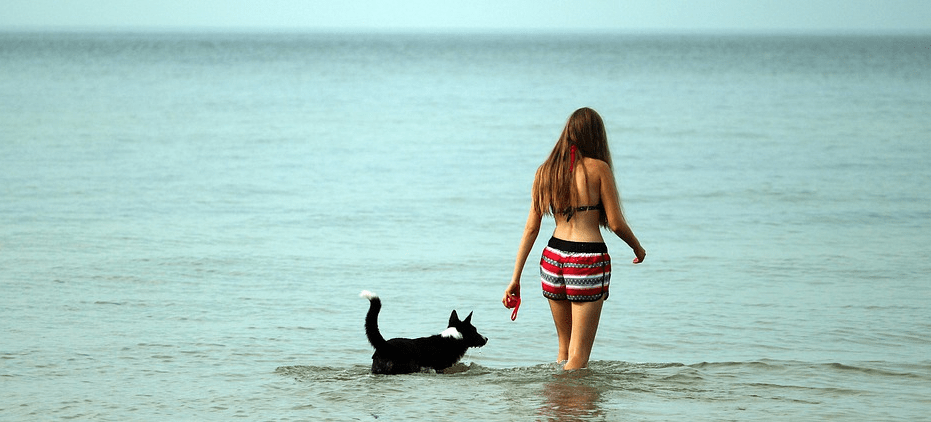 The best Dog Friendly Beaches