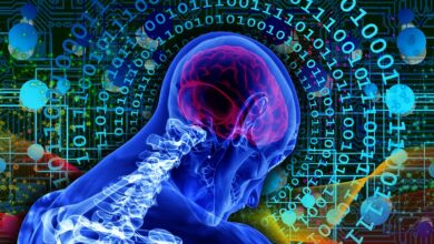 AI Brainvisuals: Secrets of the Brain 1