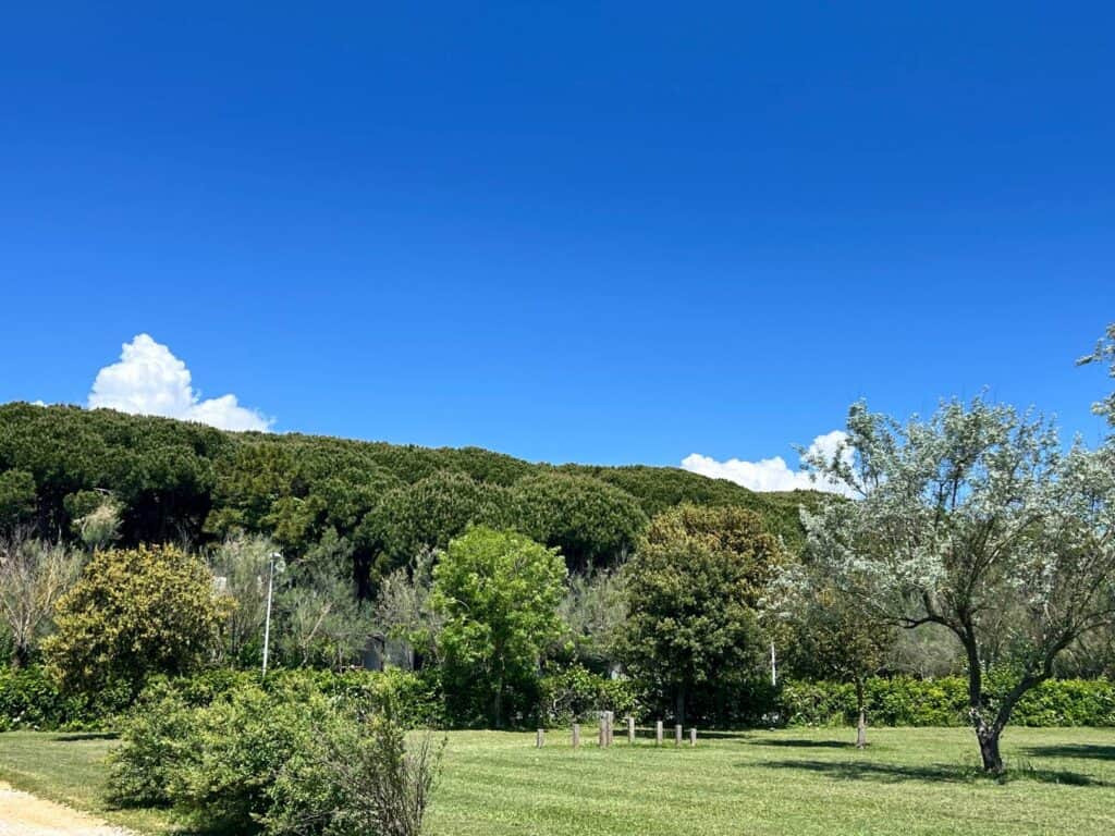 Úžasná Eraclea Mare, Zelená Perla Jadranu 17 Eraclea Mare, Veneto Info Magazine