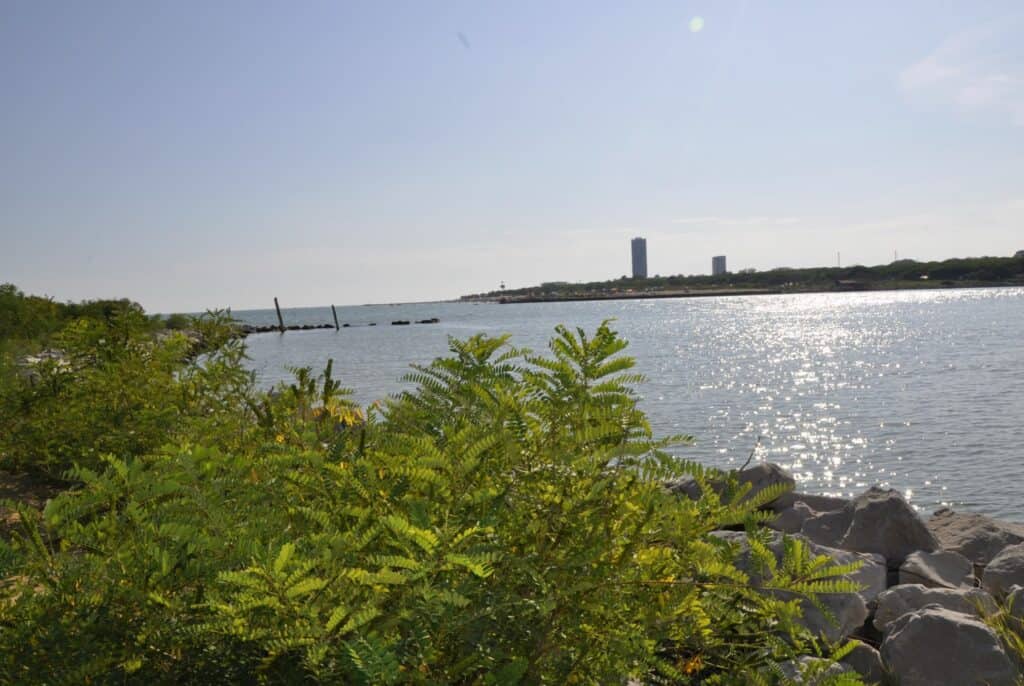 Serene water view with greenery.