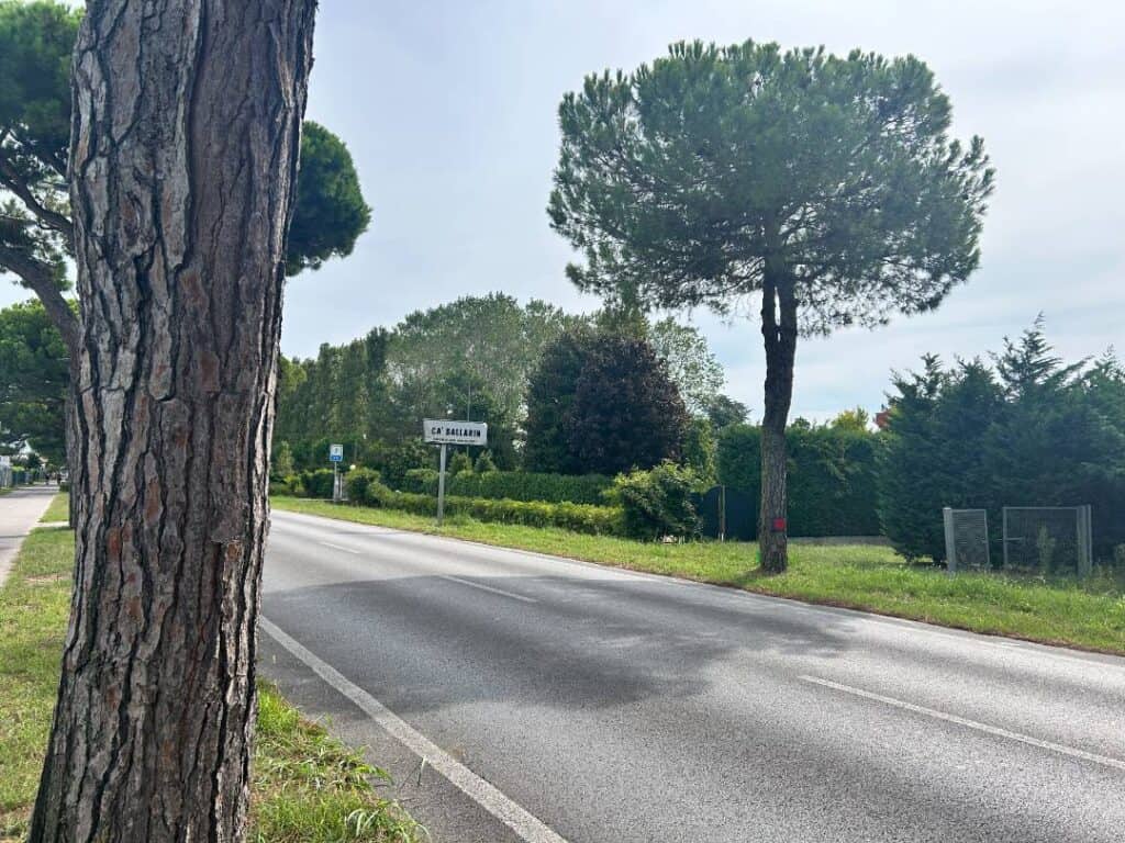 Autem Do Veneta (Benátska): Jak Se Připravit Na Cestu 11 Tree-lined road with greenery nearby
