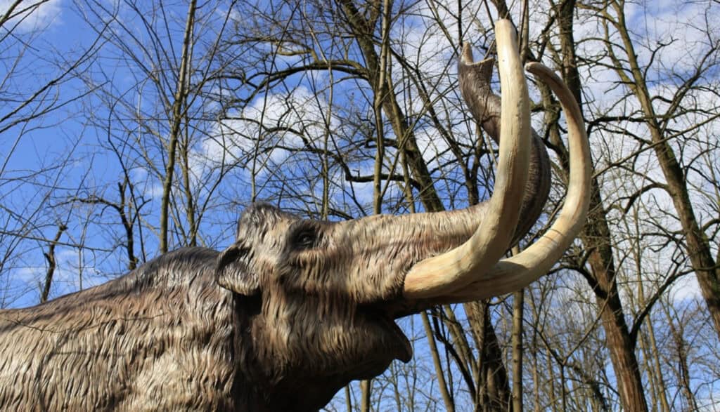 Auronzo Di Cadore: Zastávka V Dolomitech 4 Auronzo Tre Cime. Dai dinosauri ai mammut, la storia continua